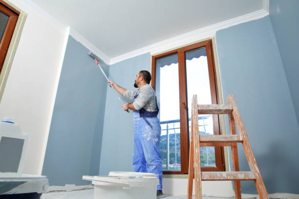 Best Commercial Painting  in Frankfort Square, IL