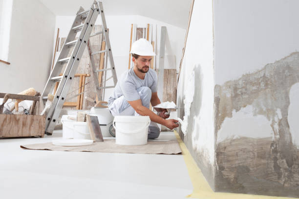 Best Drywall Removal and Disposal  in Frankfort Square, IL