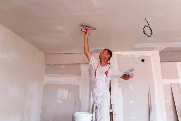  Frankfort Square, IL Dry wall and painting Pros